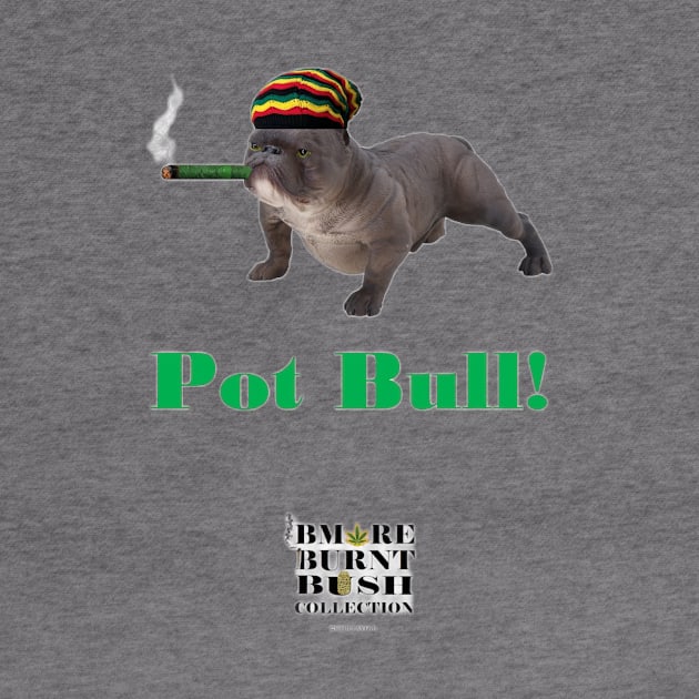 Pot Bull by ArTaylor